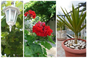 Ideal family apartment near sea / TROGIR